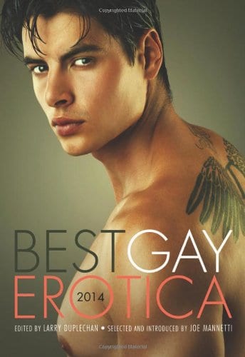 Review: Best Gay Erotica