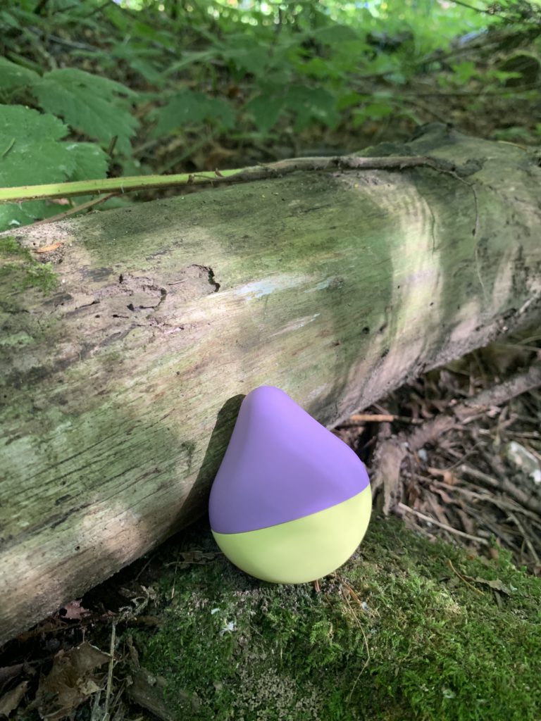 The iroha mini rests against a mossy log on top of a mossy branch. It's purple and yellow stand out vibrantly against the deep green of the moss