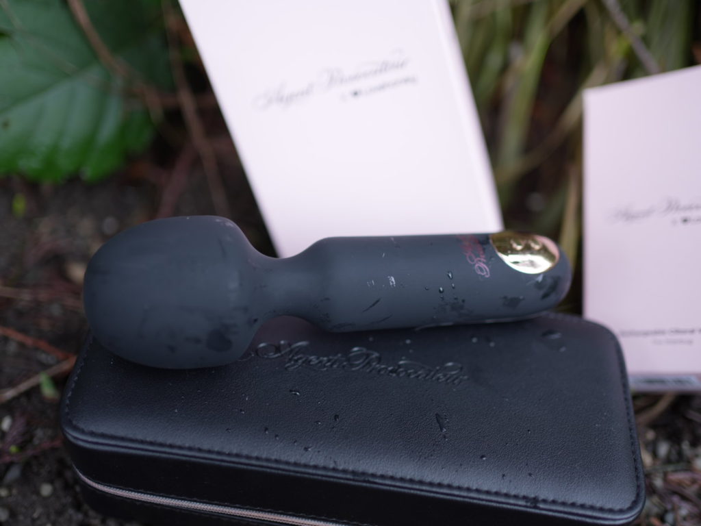 packaging of the Agent Provocateur rumba and jitterbug. They come with a zipper box that holds shape.