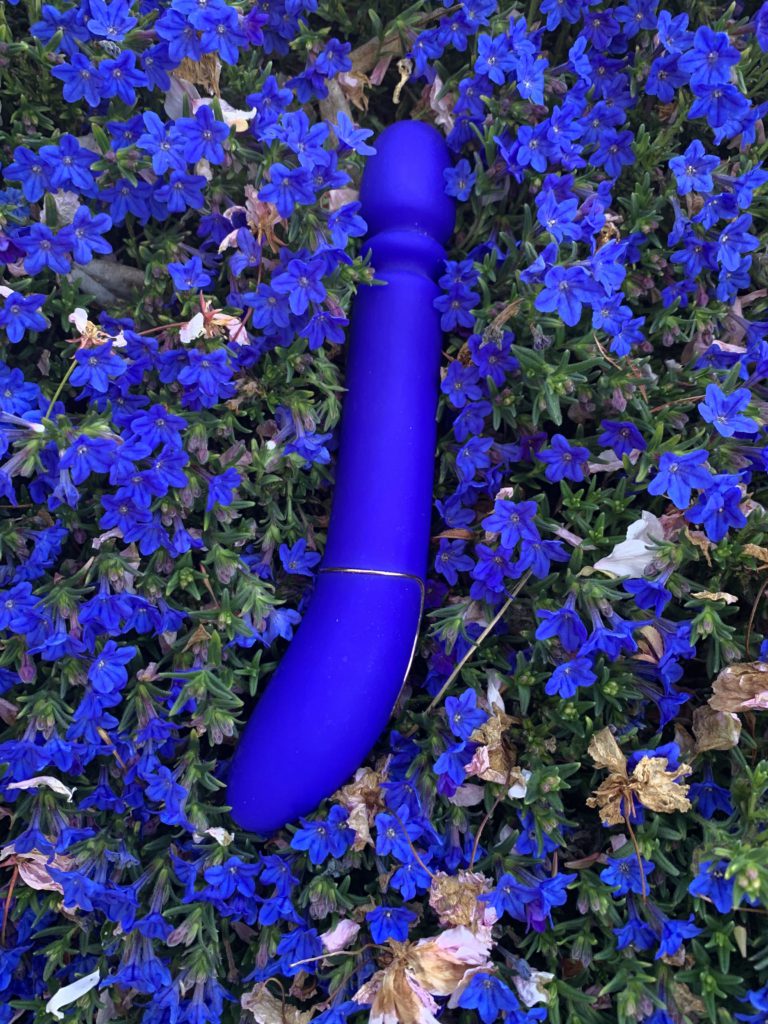 The shameless slim is a 9" handheld sex-machine. It's royal blue and matches the flowers in the photo perfectly. 